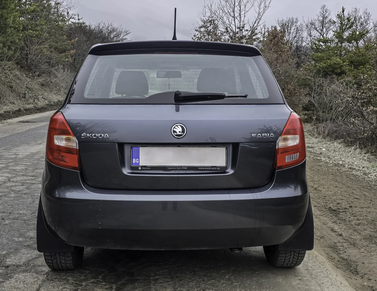 Skoda Fabia TDI 1.6 - изображение 2