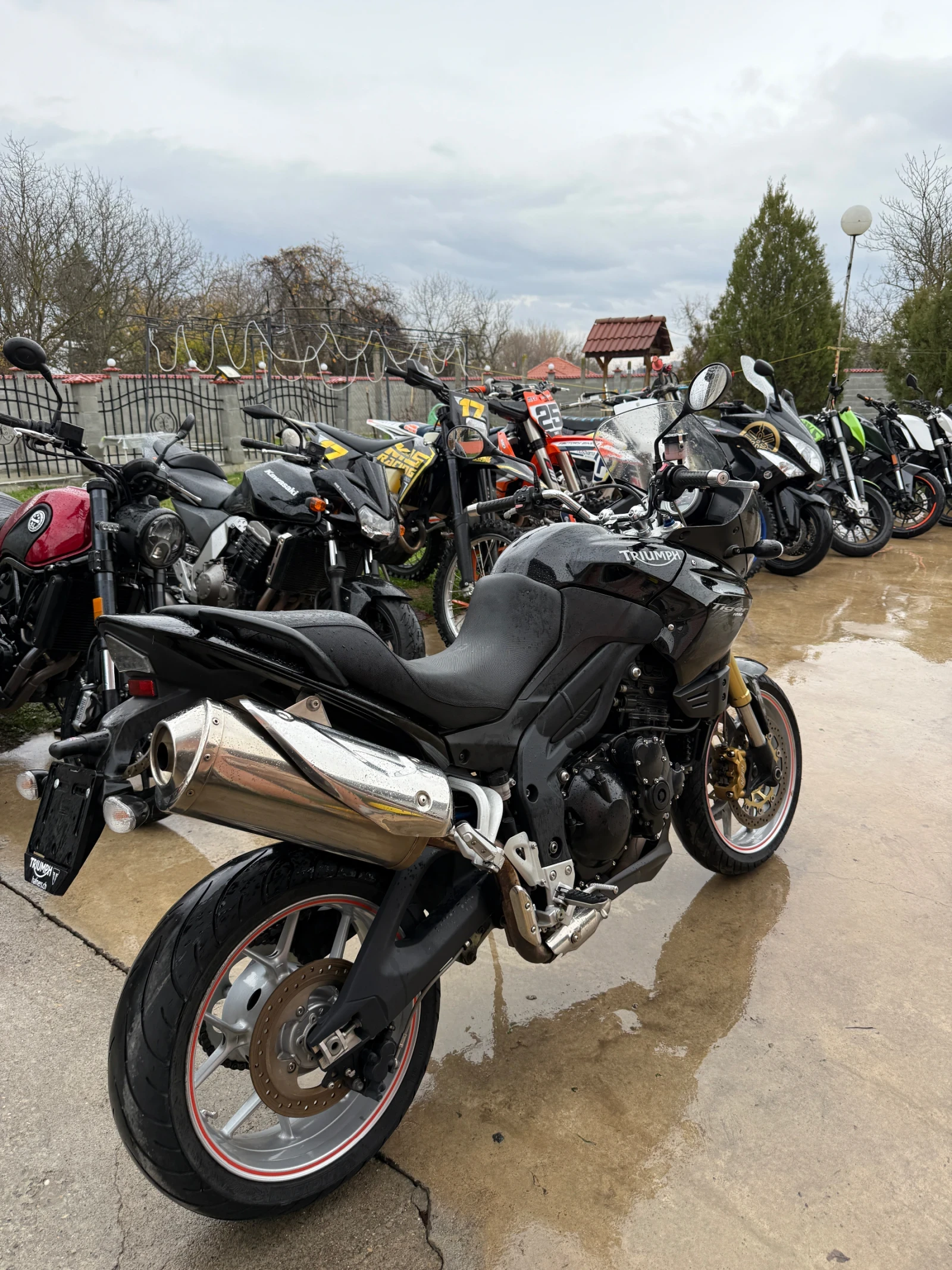 Triumph Tiger 1050 - изображение 6