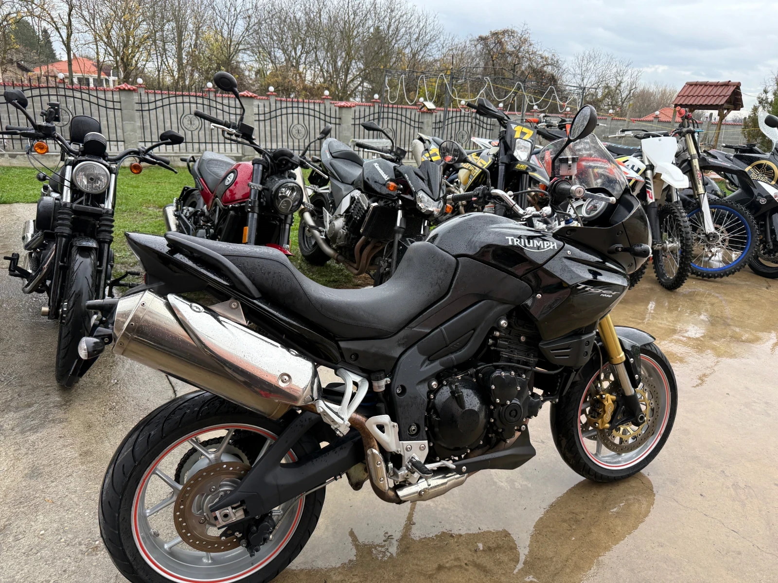 Triumph Tiger 1050 - изображение 5
