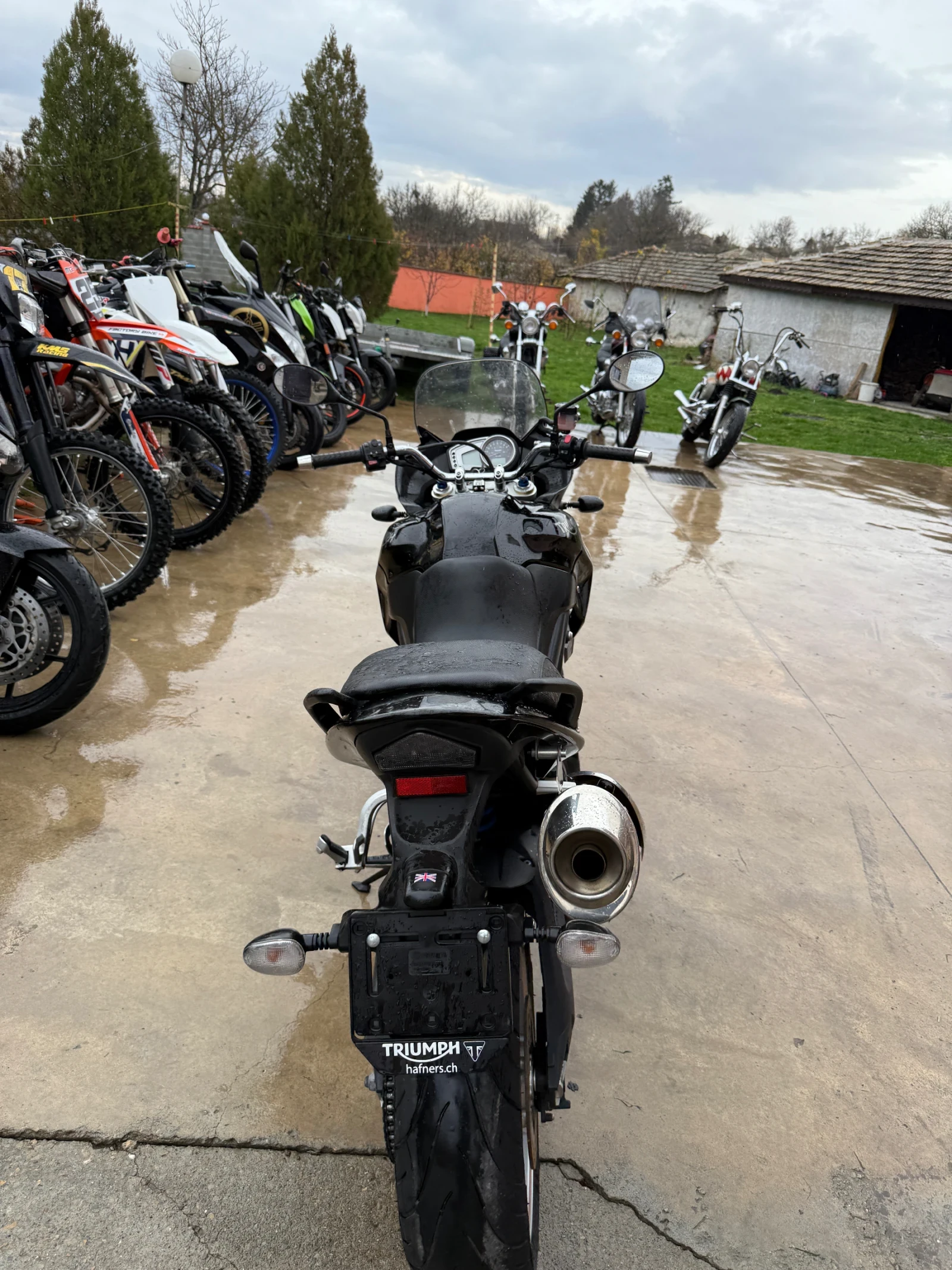 Triumph Tiger 1050 - изображение 7