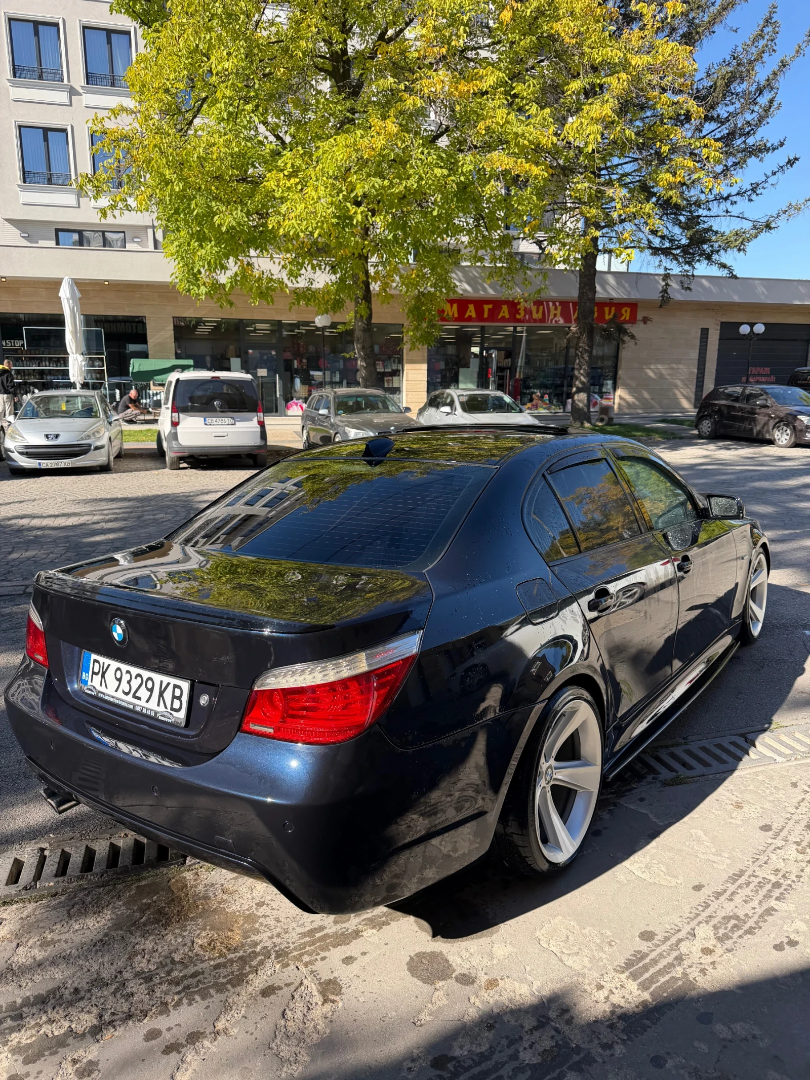 BMW 530 3.0D, снимка 3 - Автомобили и джипове - 56344333