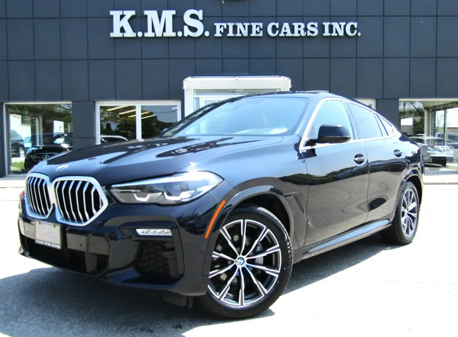 BMW X6 XDRIVE40I / M-PKG / CRYSTAL SHIFTER / AIR SUSP