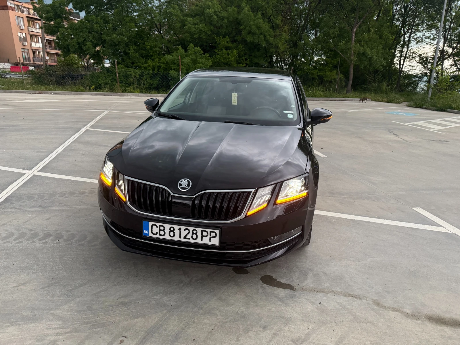 Skoda Octavia, снимка 10 - Автомобили и джипове - 54590739
