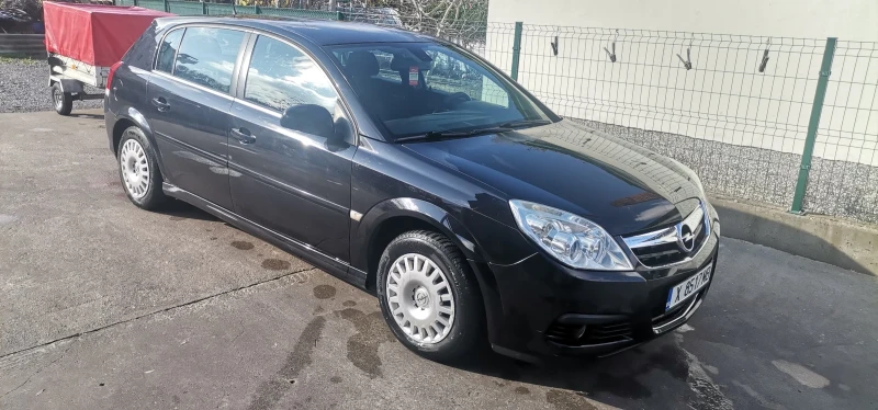 Opel Signum 1.9Tdci, снимка 1 - Автомобили и джипове - 48592244