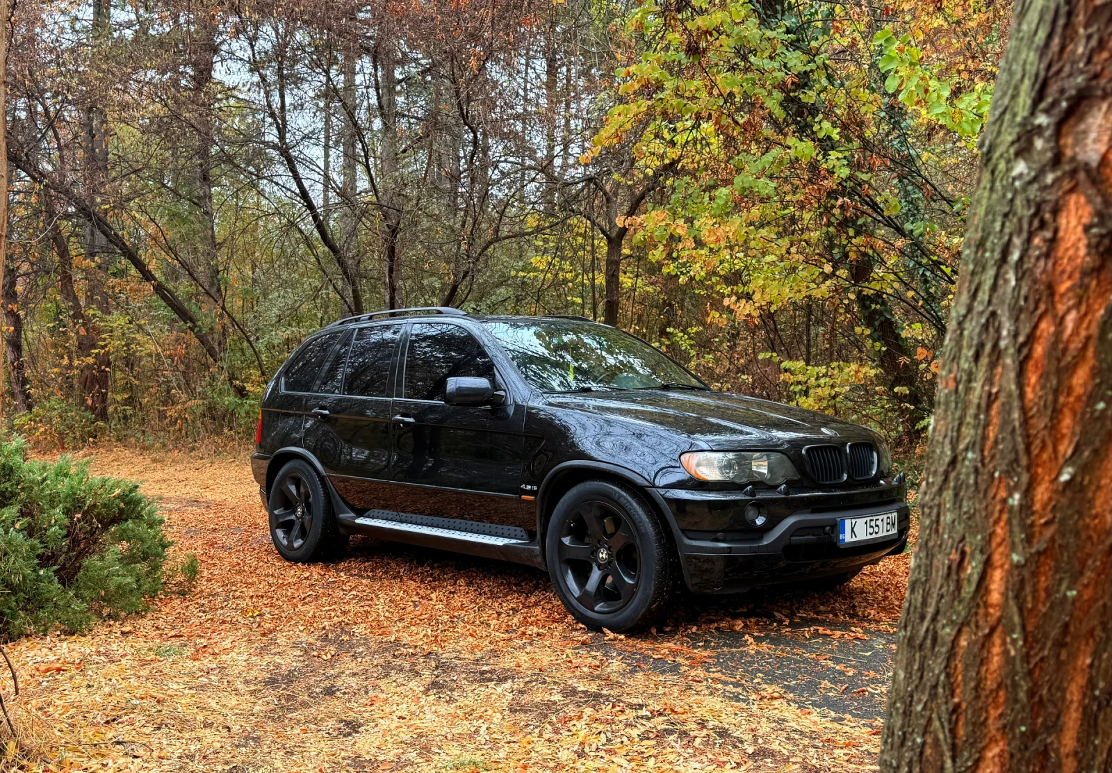 BMW X5 4.6is - изображение 6