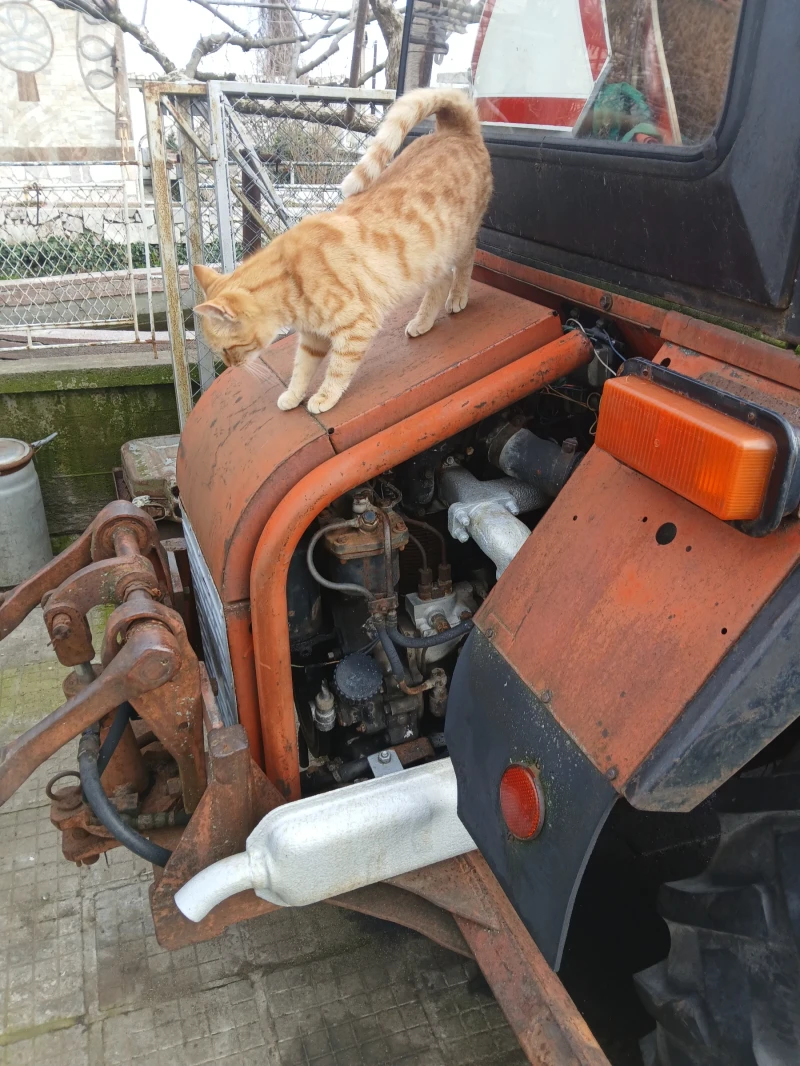 Трактор Владимировец, снимка 5 - Селскостопанска техника - 53598384