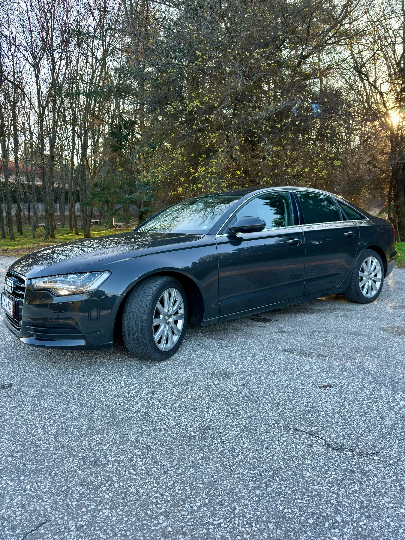 Audi A6 C7 3.0 TDI Quattro Matrix - изображение 4