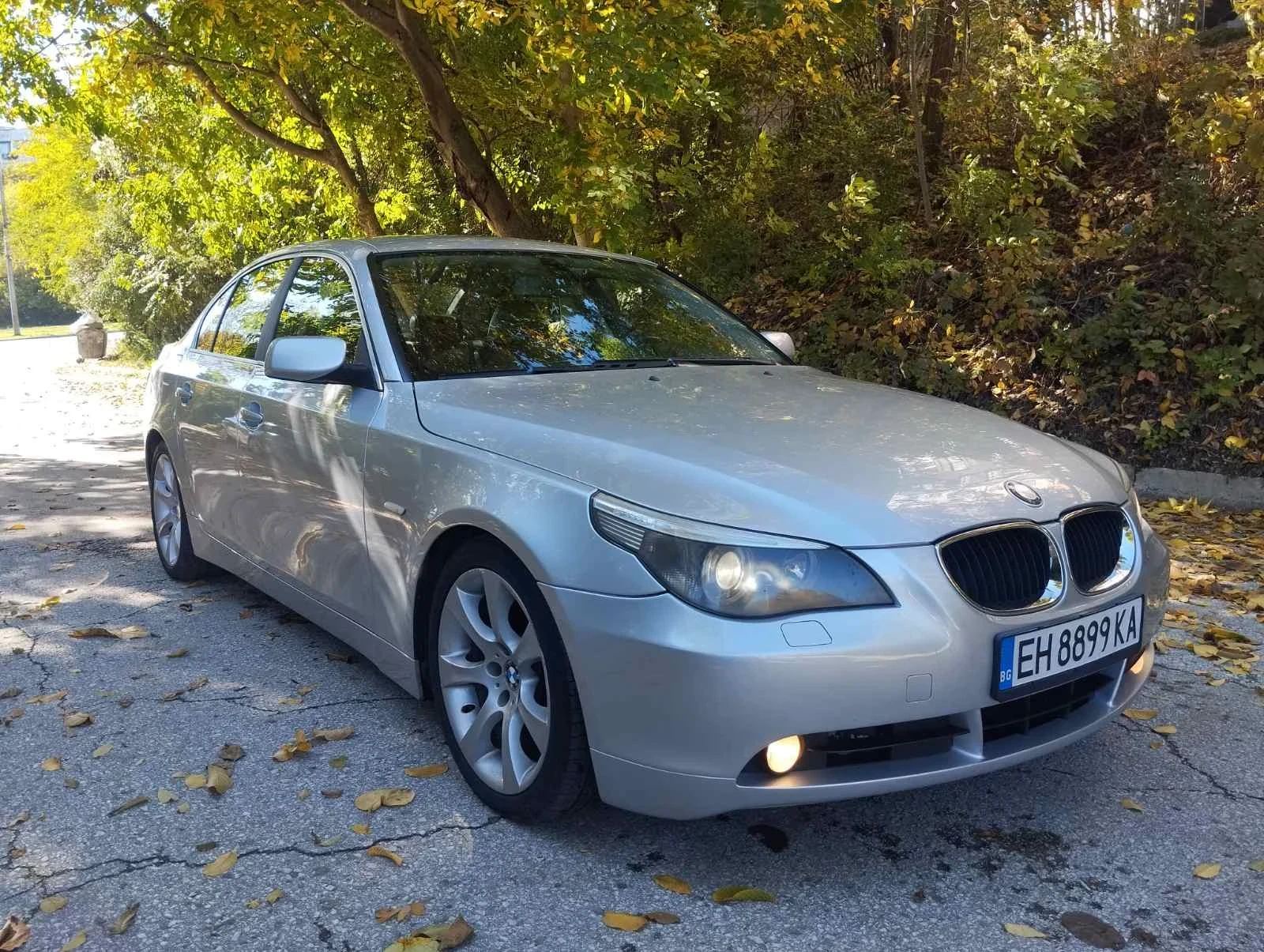 BMW 530, снимка 9 - Автомобили и джипове - 54329493