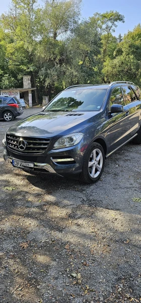  Mercedes-Benz ML 250