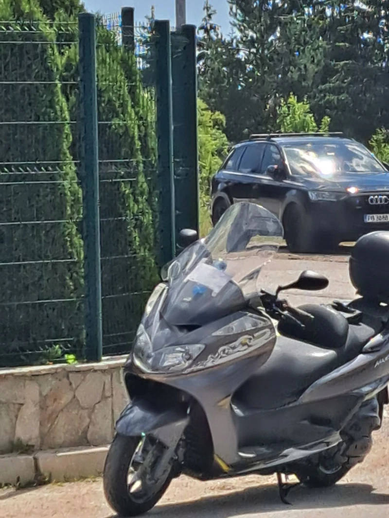 Yamaha Majesty 400, снимка 4 - Мотоциклети и мототехника - 52462456