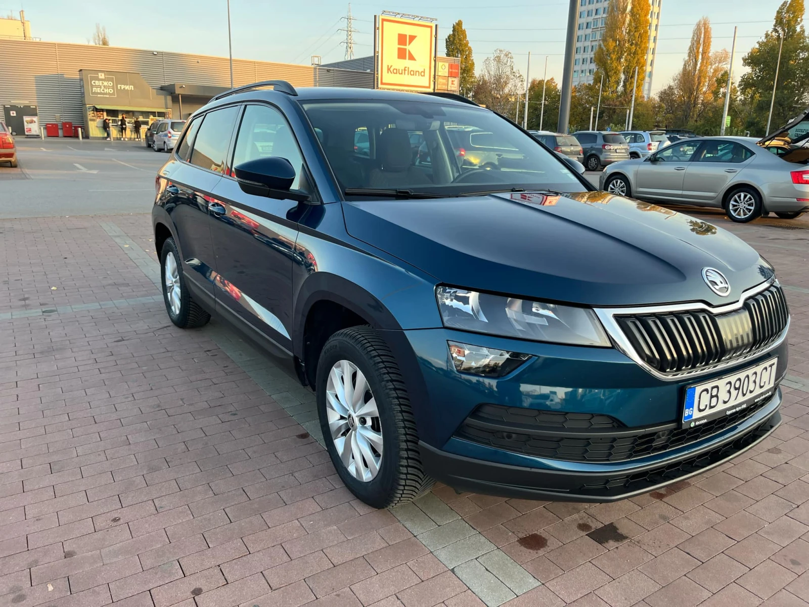 Skoda Karoq 2.0 TDI 4x4 Automatic - изображение 6