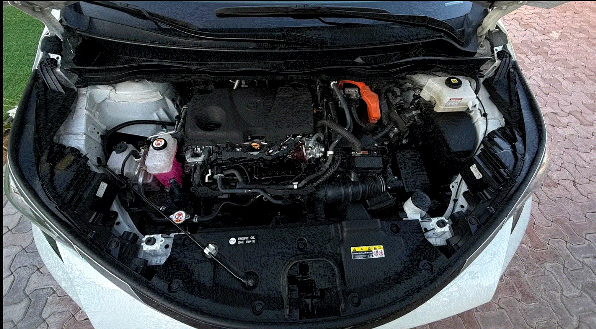 Toyota Sienna Platinum edition - изображение 7