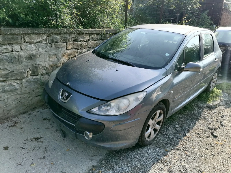 Peugeot 307 1.6, снимка 1 - Автомобили и джипове - 46312073