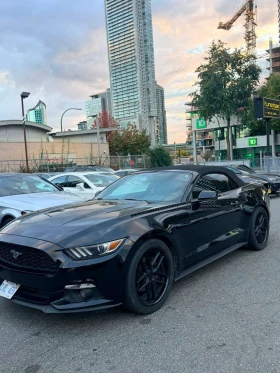 ������ Ford Mustang