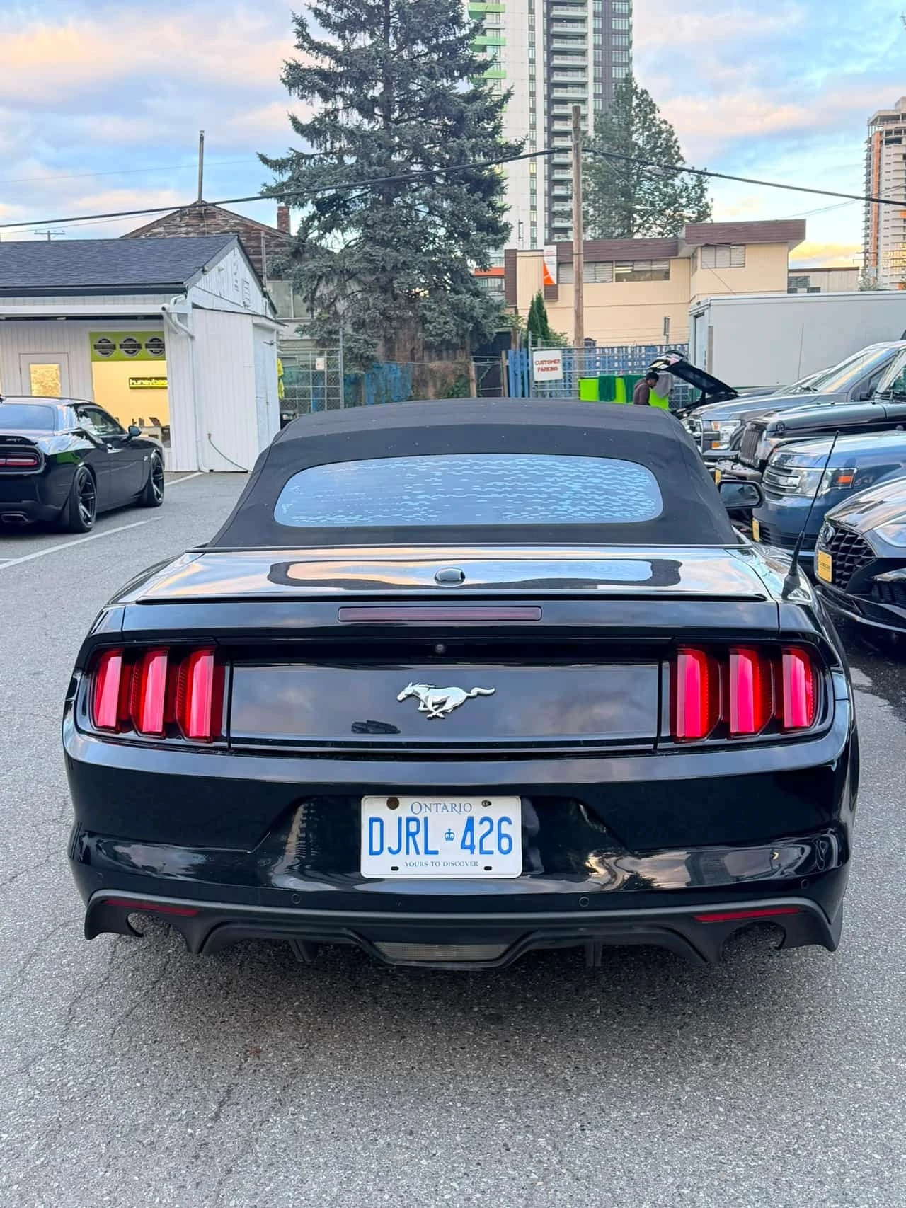 Ford Mustang * EcoBoost Premium * CARFAX * ������� * ���������  | Mobile.bg � ����������� 6