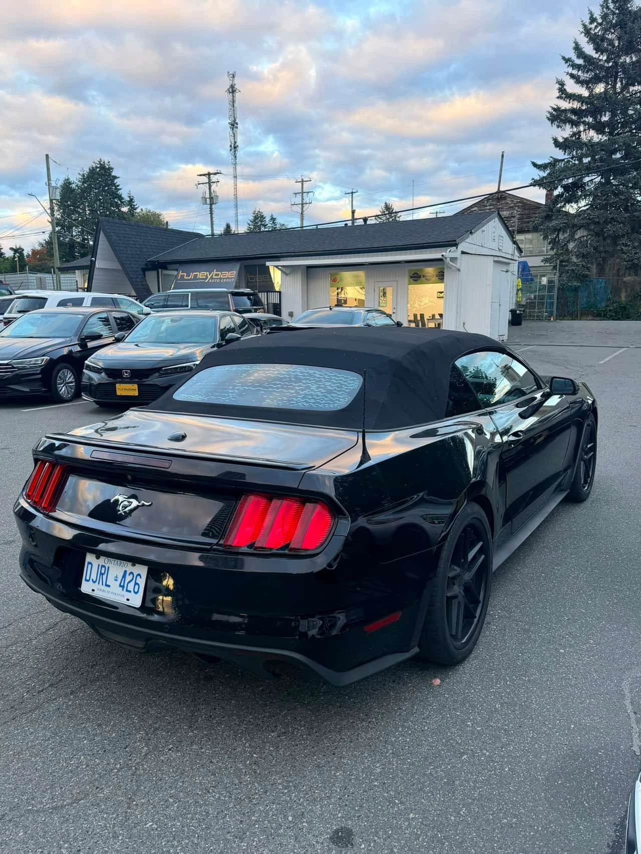 Ford Mustang * EcoBoost Premium * CARFAX * ������� * ���������  | Mobile.bg � ����������� 5
