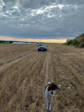 Jeep Grand cherokee, снимка 3