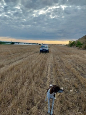 Jeep Grand cherokee, снимка 2
