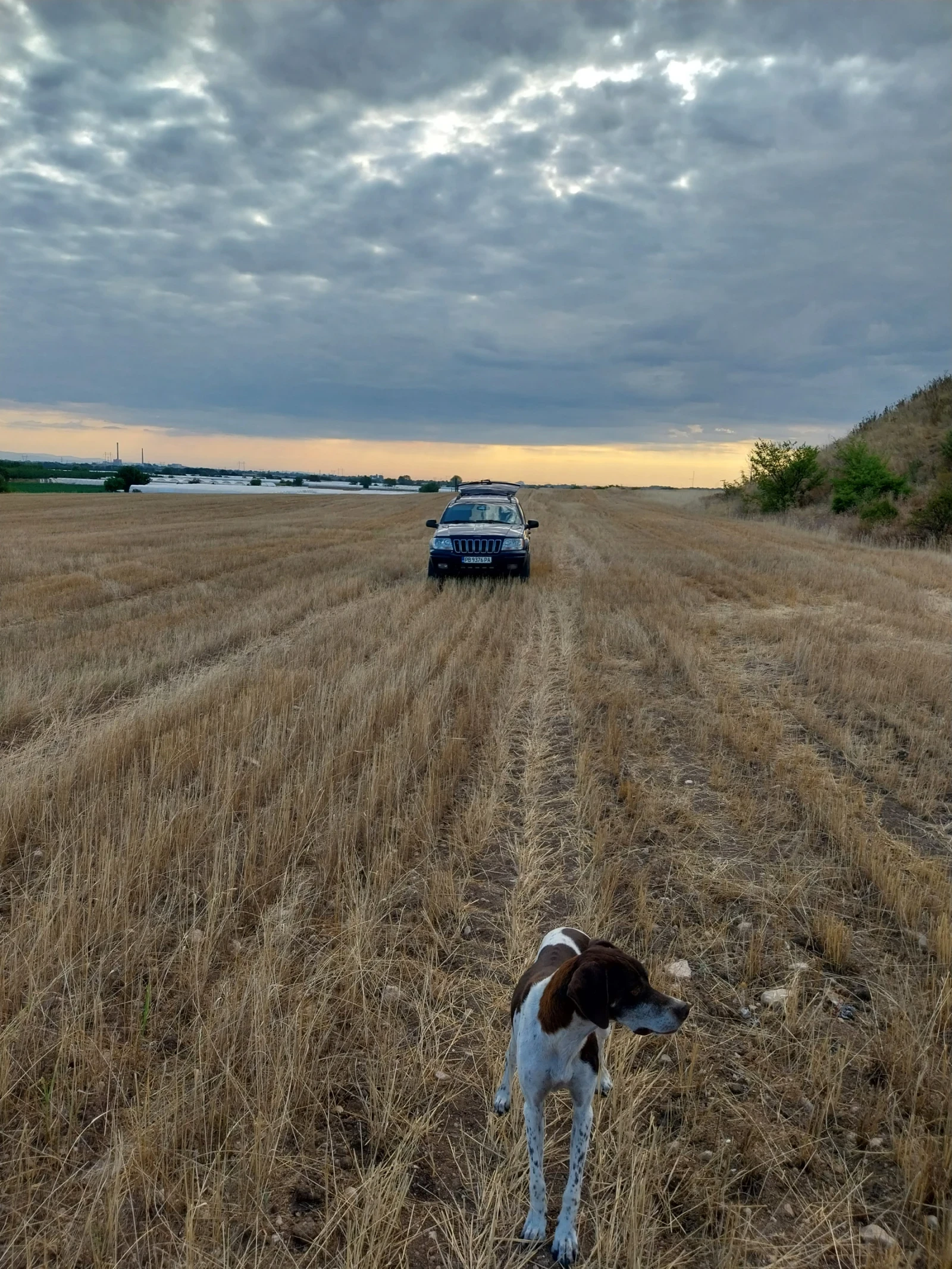 Jeep Grand cherokee, снимка 3 - Автомобили и джипове - 53904730
