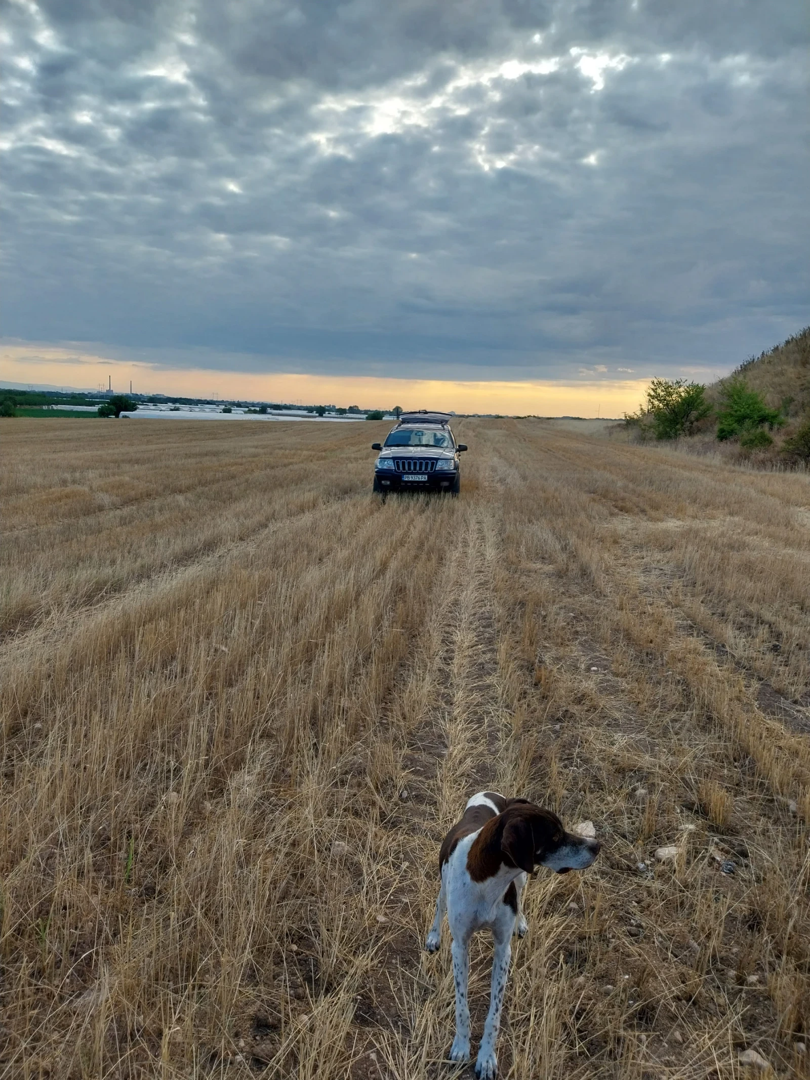 Jeep Grand cherokee, снимка 2 - Автомобили и джипове - 53904730