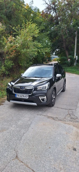 Subaru Forester - 19000 € / 37160.77 лв. - 25557523 6