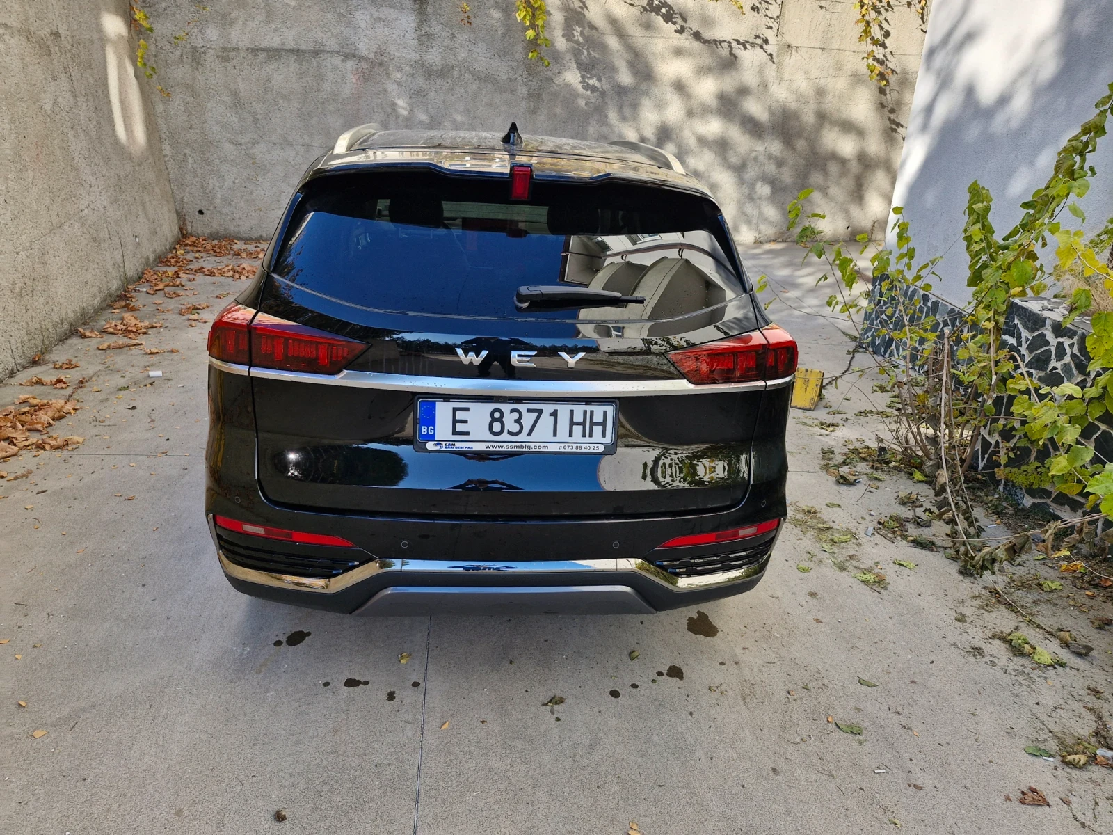 Wey 03 Luxury 4x4  | Mobile.bg � ����������� 14