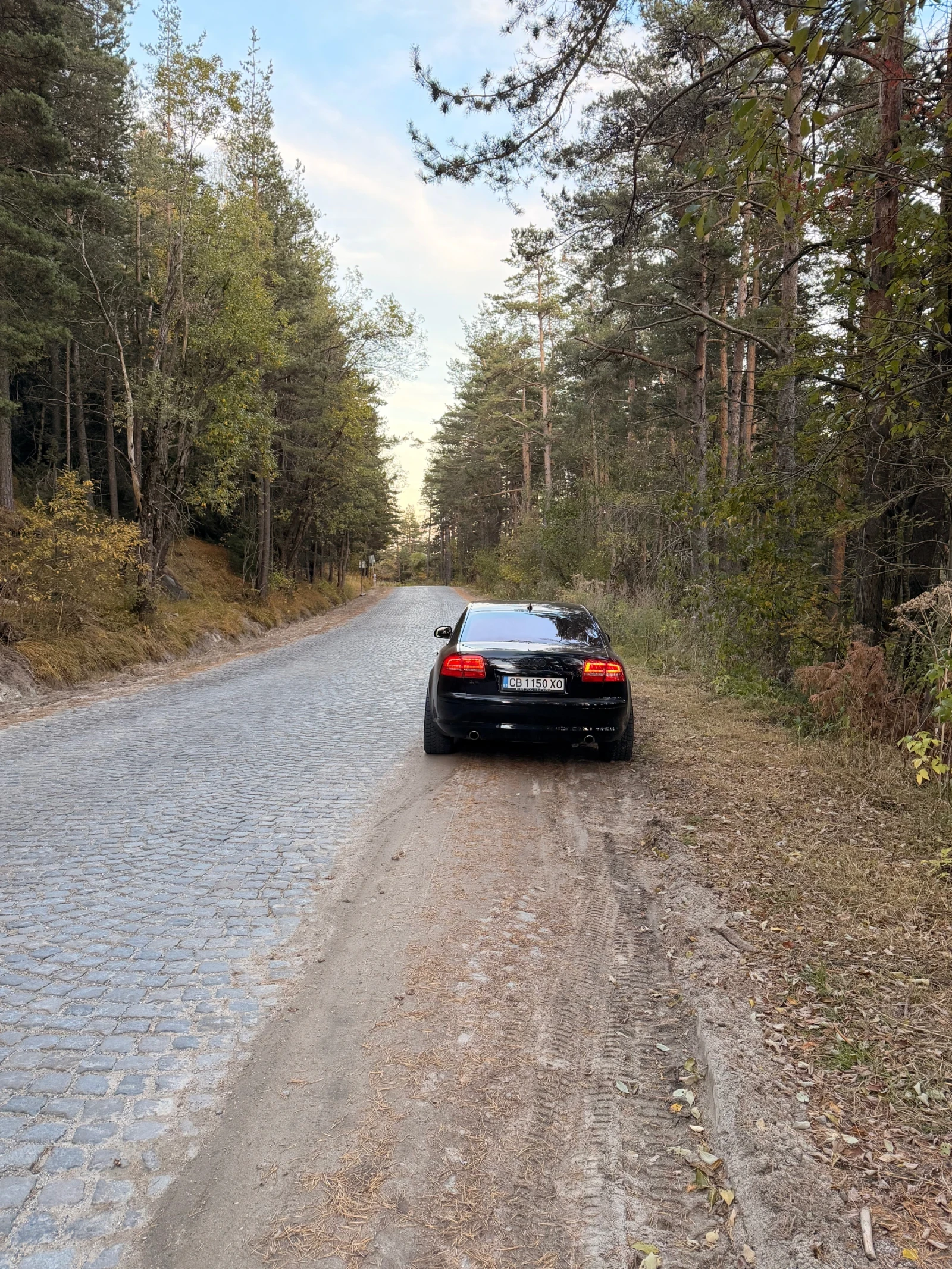 Audi A8, снимка 14 - Автомобили и джипове - 56432937