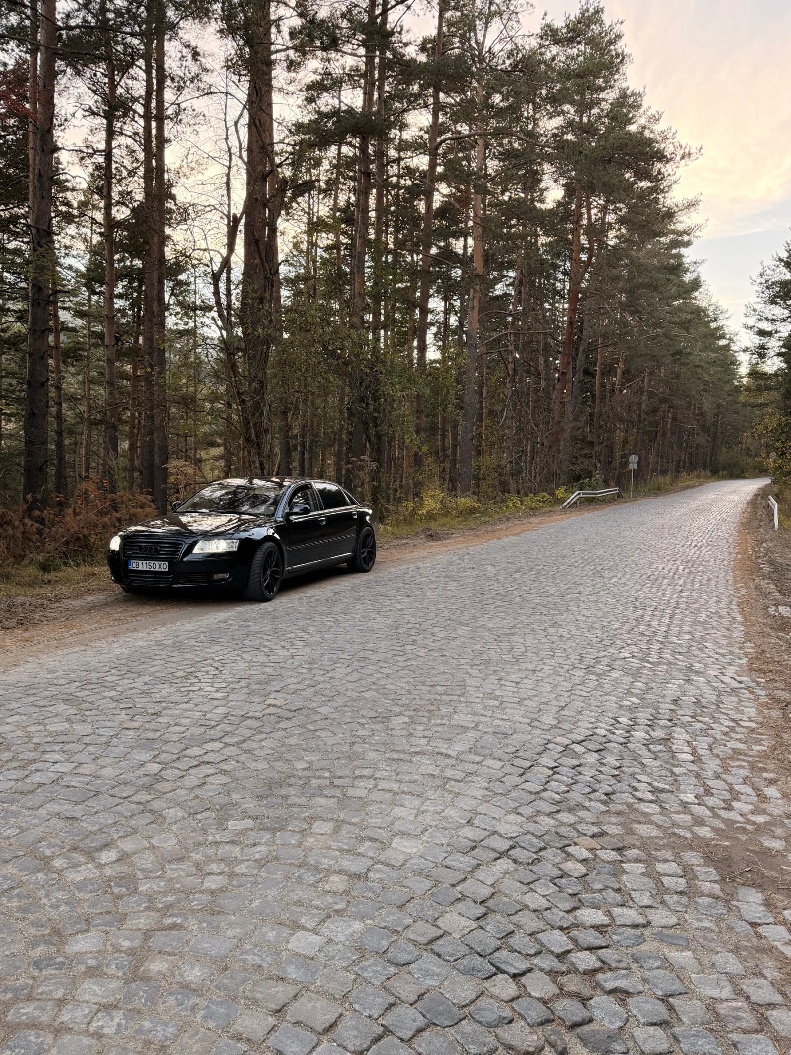 Audi A8, снимка 15 - Автомобили и джипове - 56432937