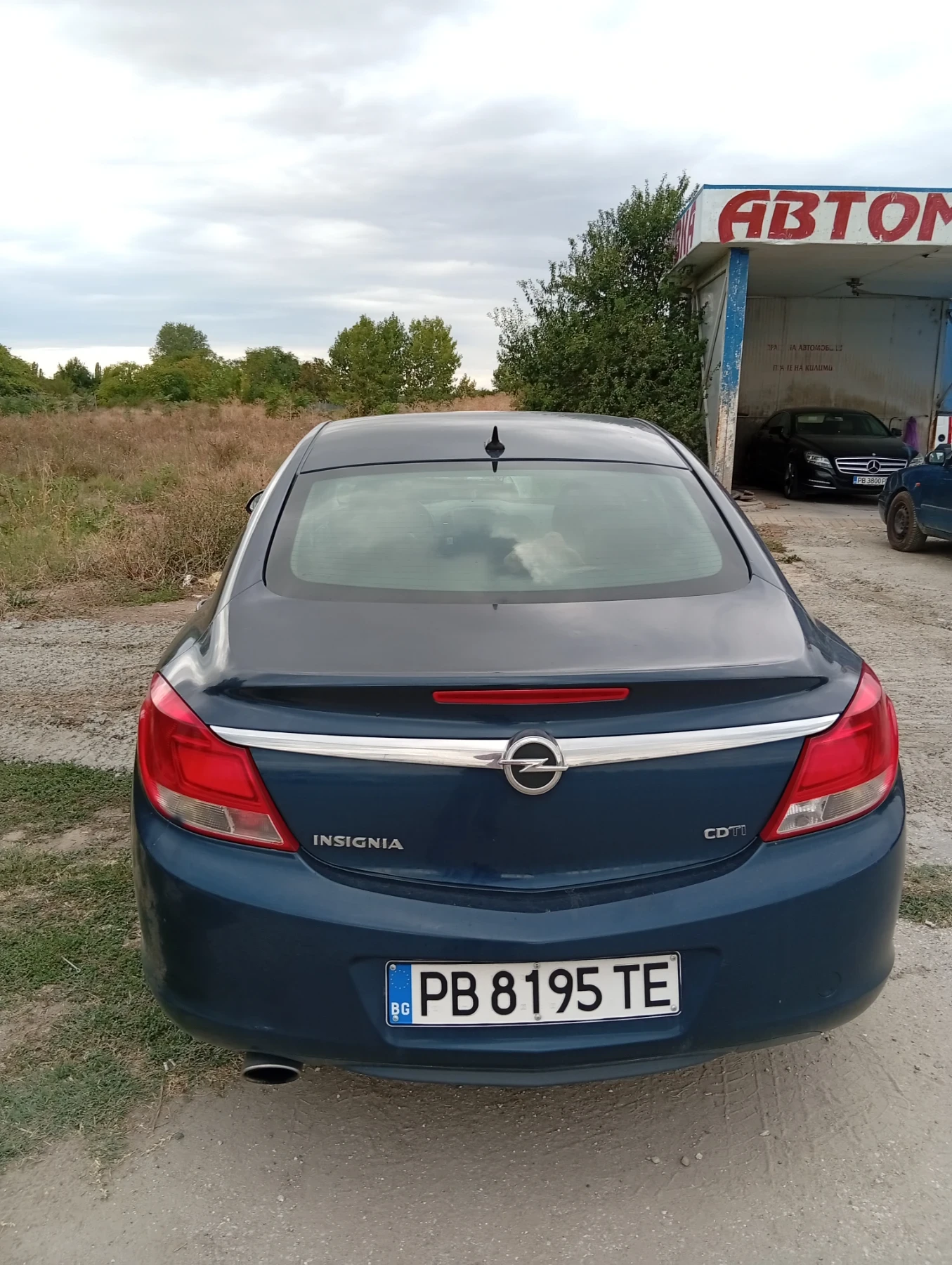 Opel Insignia, снимка 3 - Автомобили и джипове - 56184785