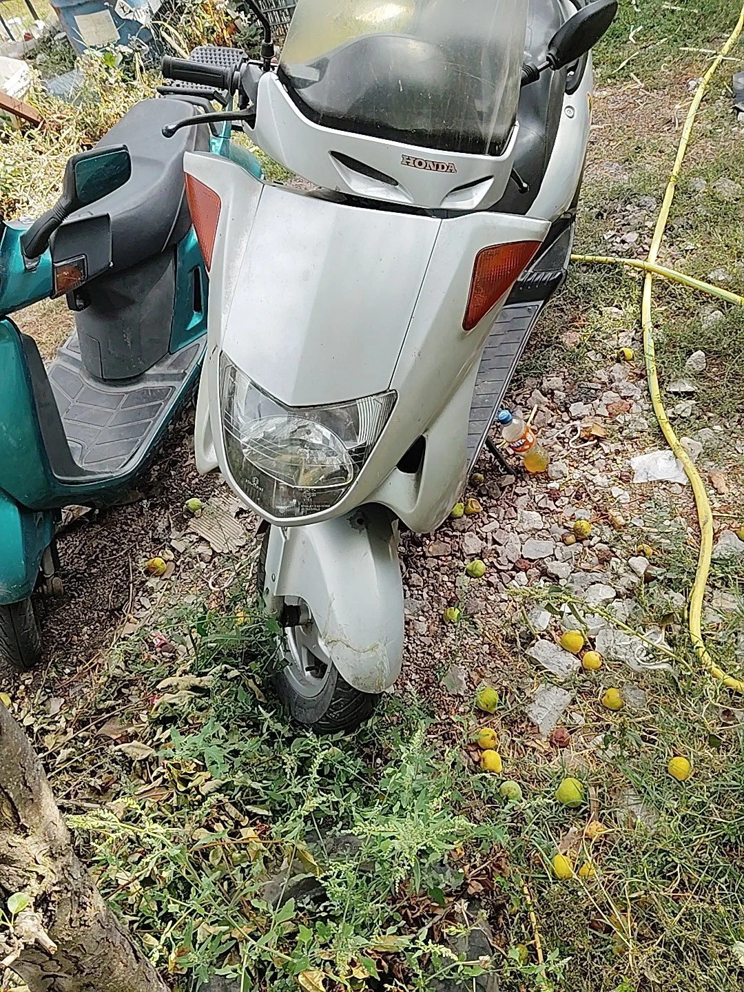 Honda Foresight 250