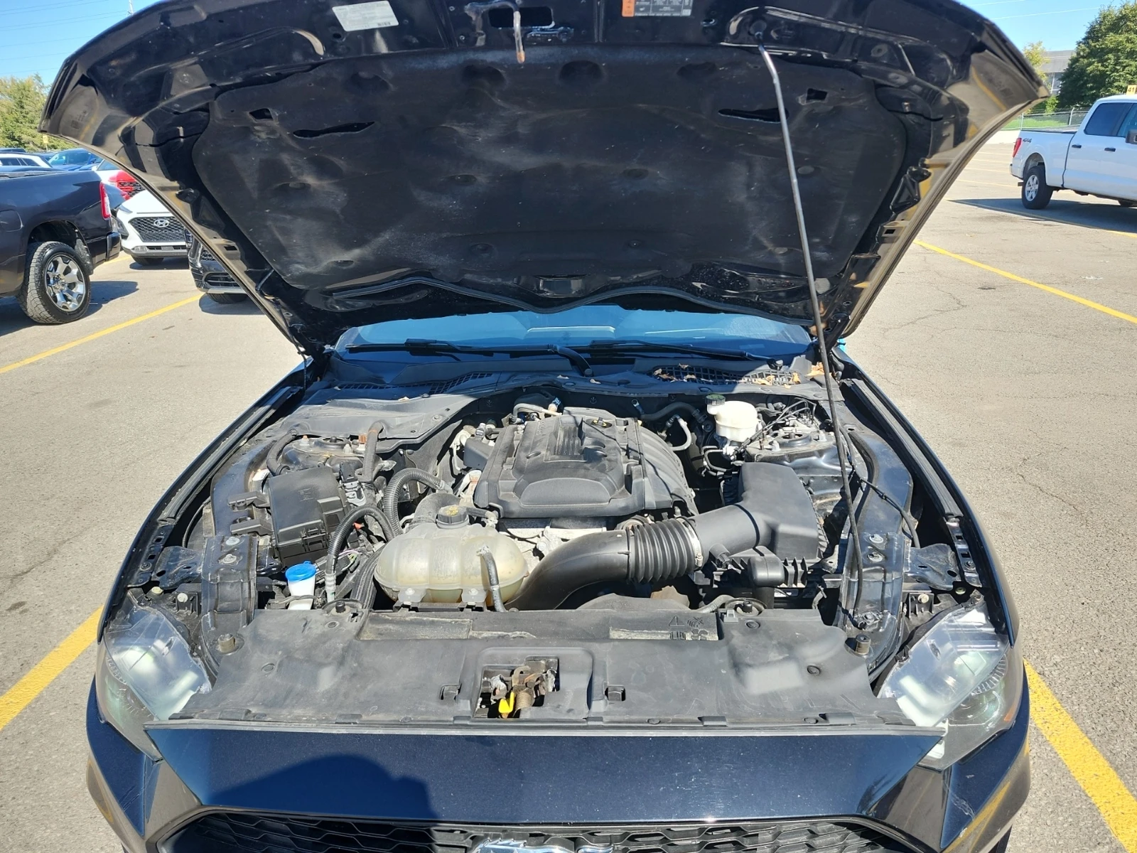 Ford Mustang * ECOBOOST* CARFAX *    | Mobile.bg   10