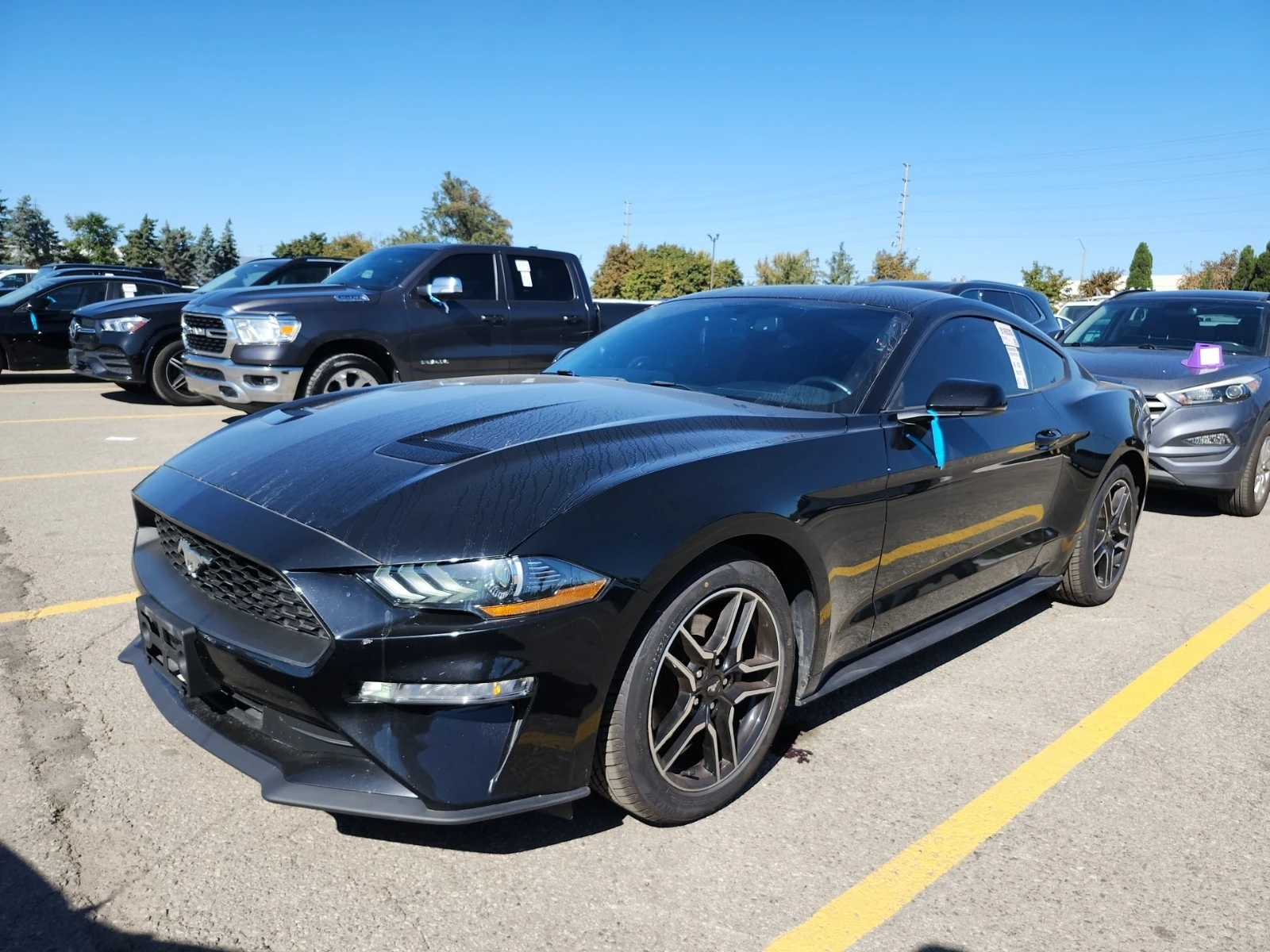 Ford Mustang * ECOBOOST* CARFAX *    | Mobile.bg   2