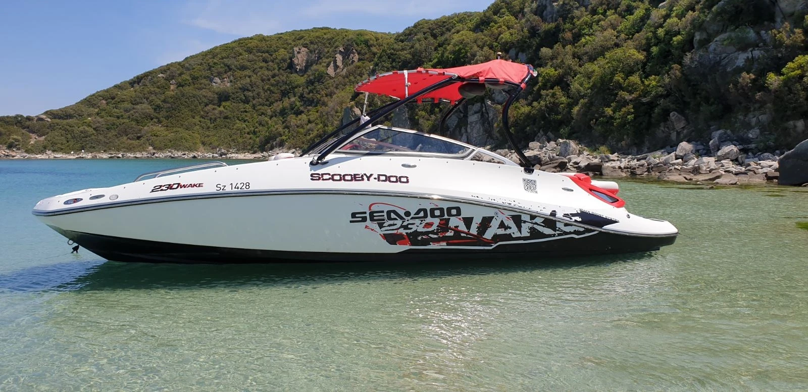 Лодка Bombardier Sea Doo WAKE-230 - изображение 5