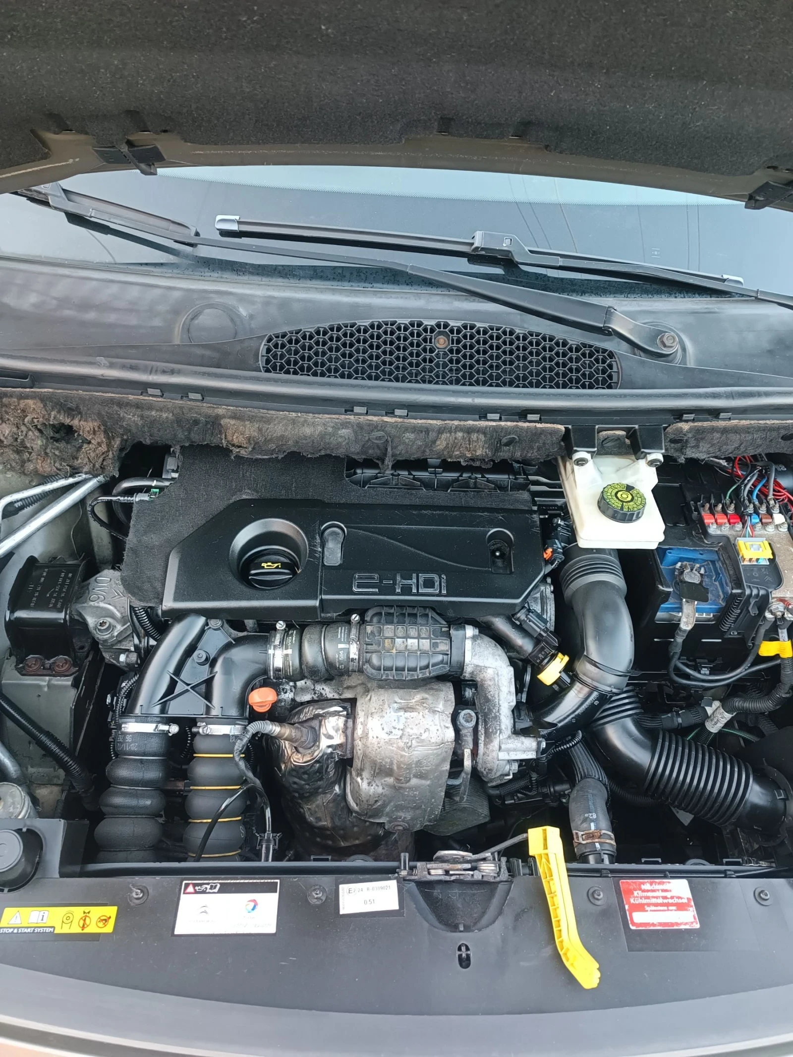 Citroen Berlingo 1.6 E-HDI 92 ks.Multispace | Mobile.bg   15