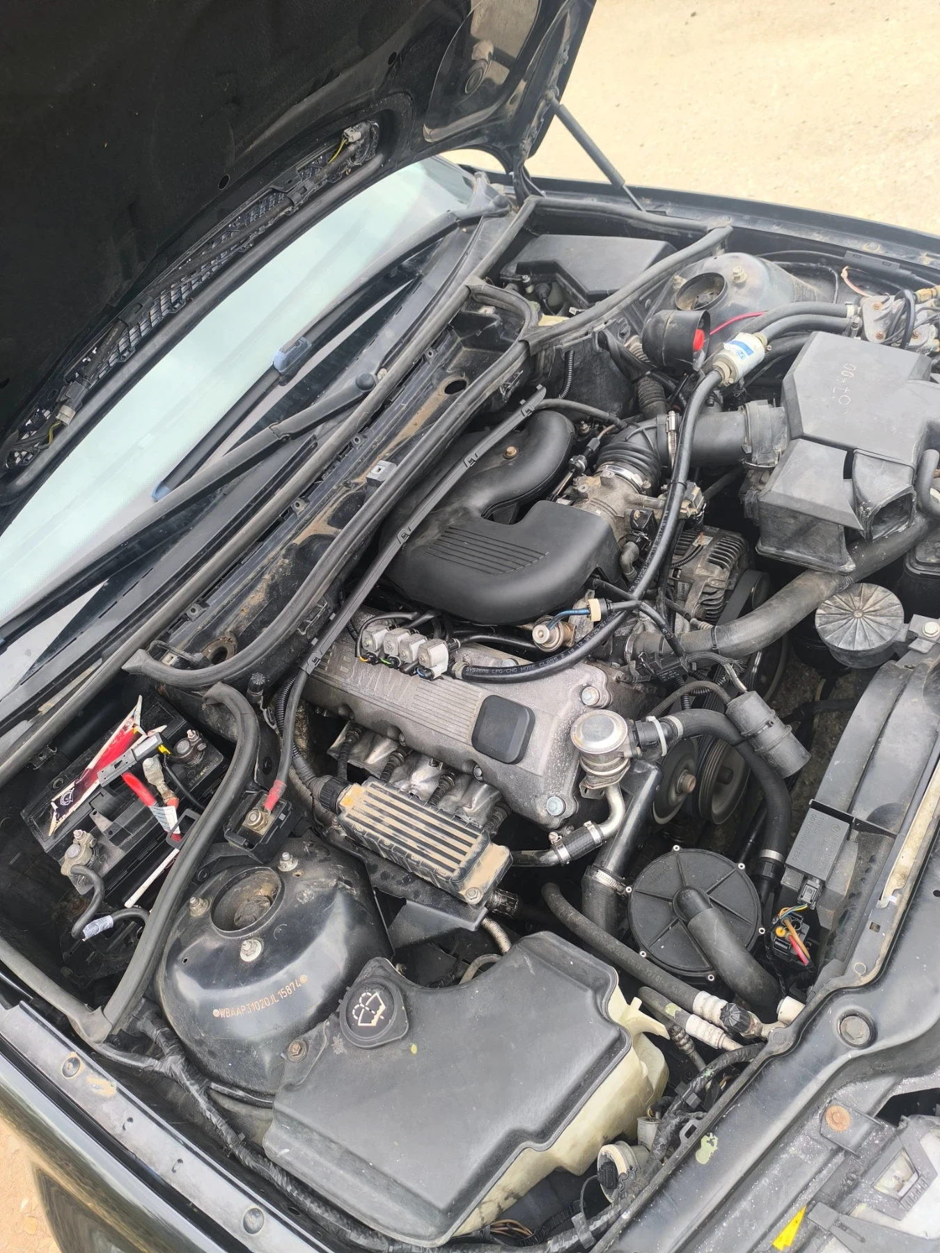 BMW 318 318 /  | Mobile.bg   5