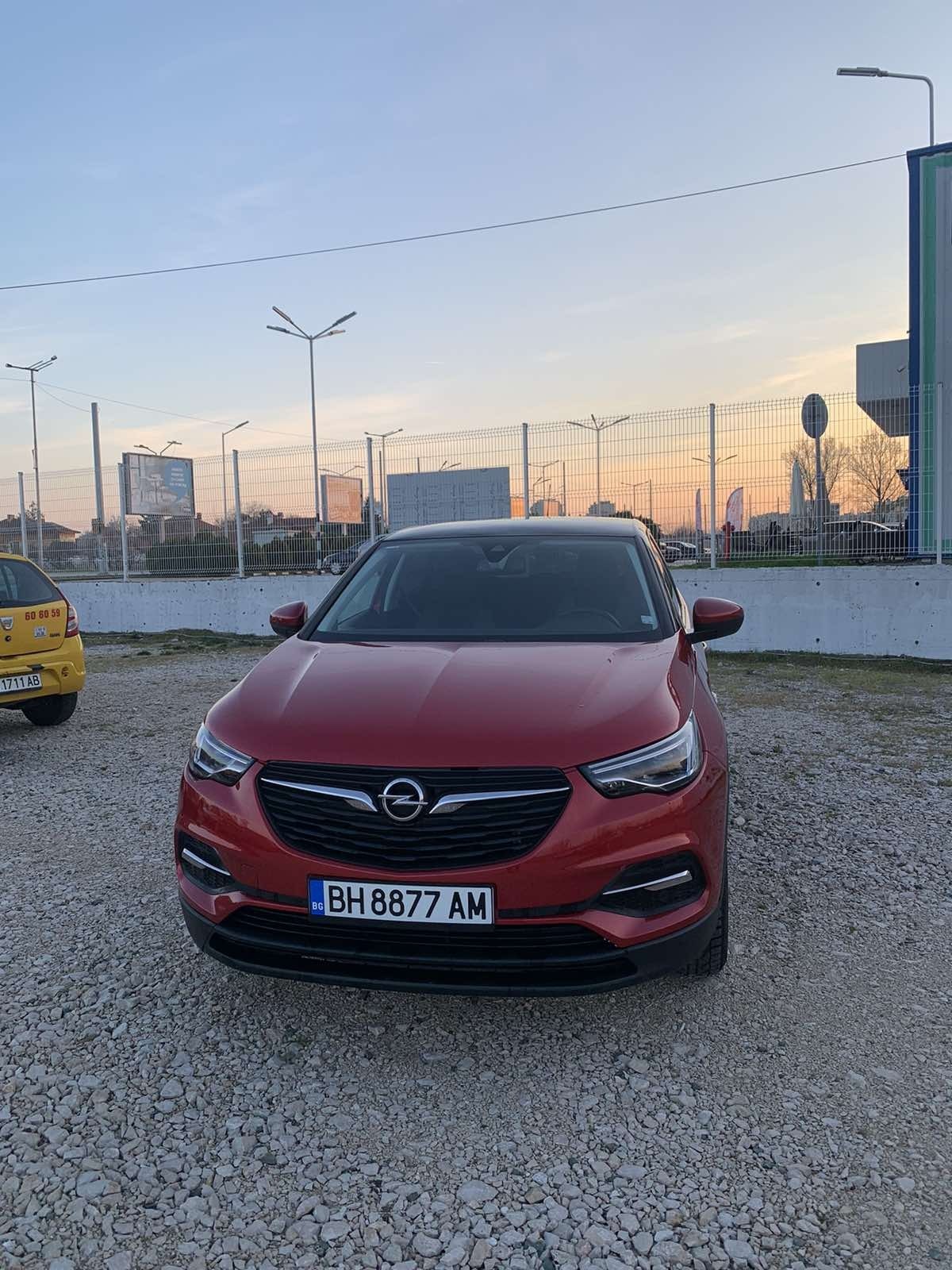 Opel Grandland X  - изображение 1