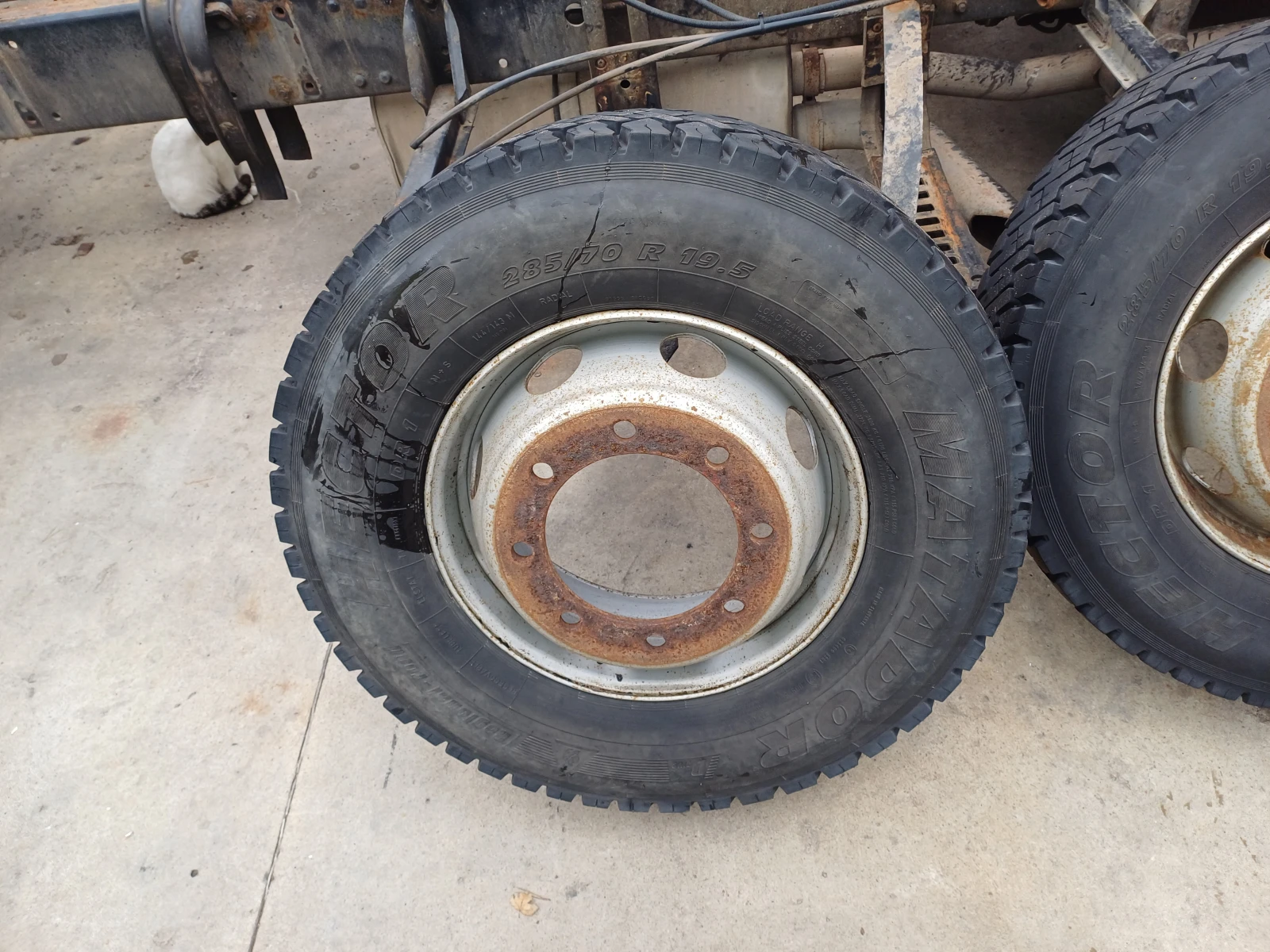 ���� � ������ 285/70R19.5 | Mobile.bg � ����������� 2