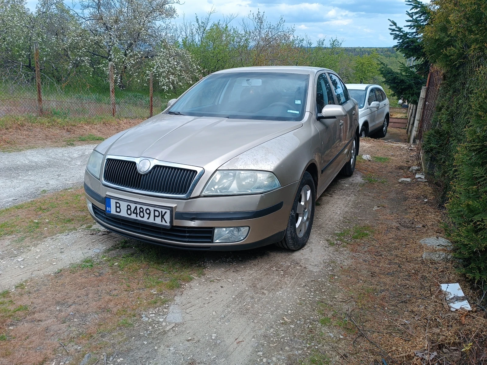 Skoda Octavia Elegance , снимка 2 - Автомобили и джипове - 54388483