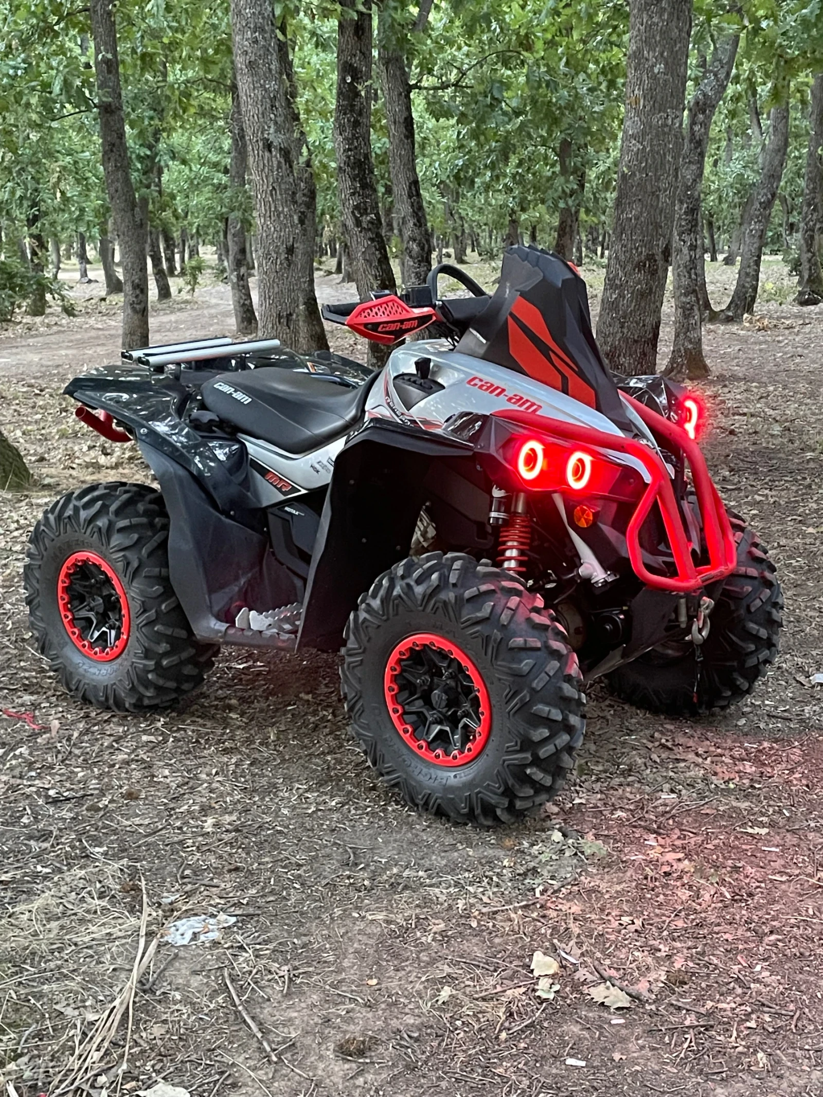 Can-Am Renеgade 1000XMR - изображение 2