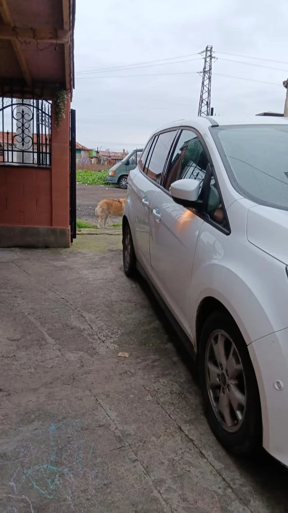 Ford C-max | Mobile.bg � ����������� 16