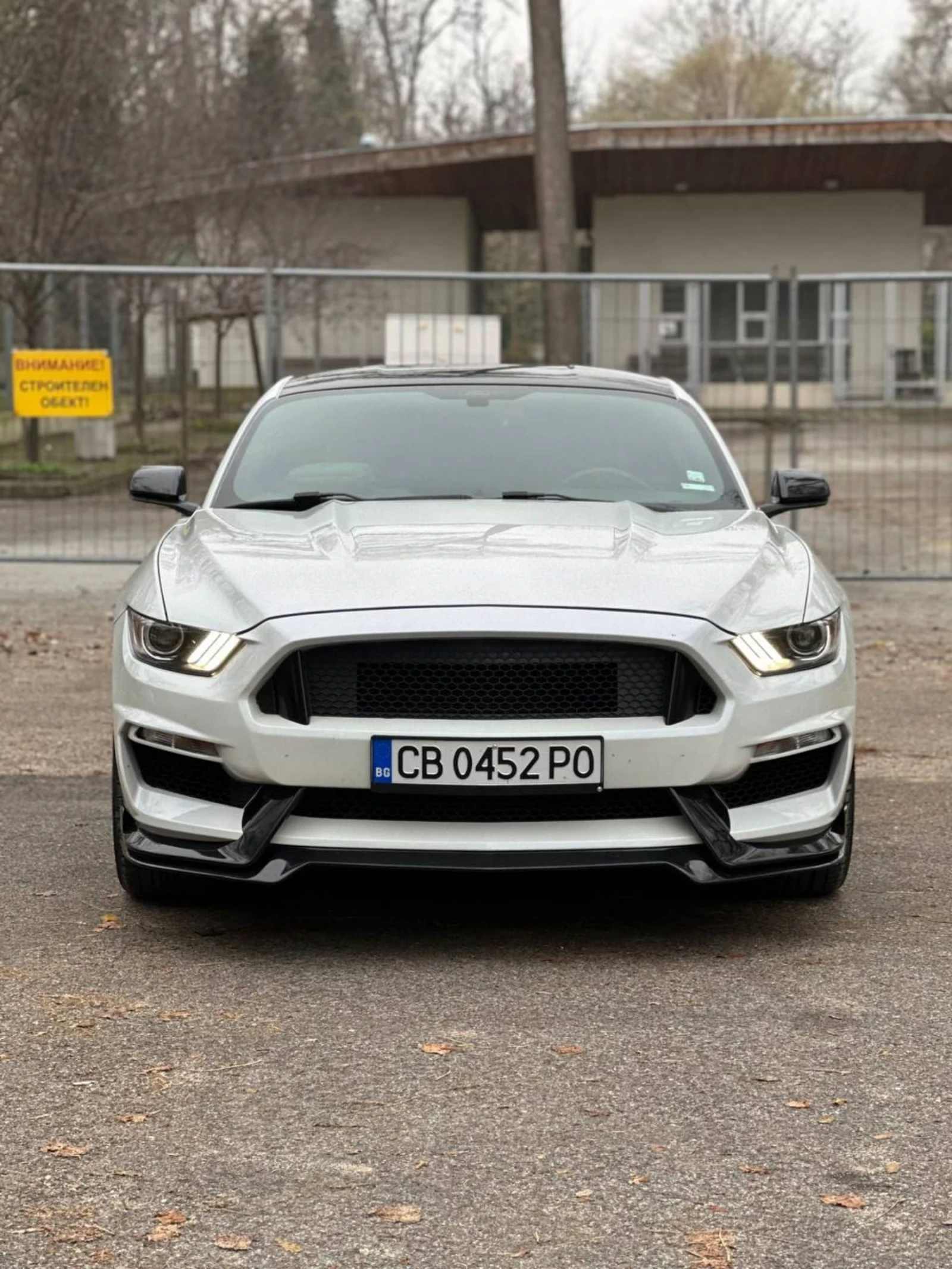 Ford Mustang, снимка 1