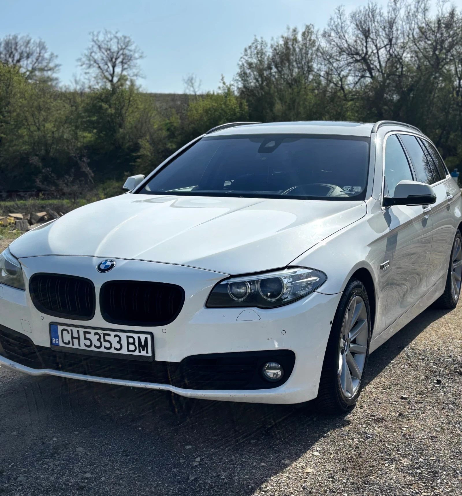 BMW 525, снимка 17 - Автомобили и джипове - 54023674
