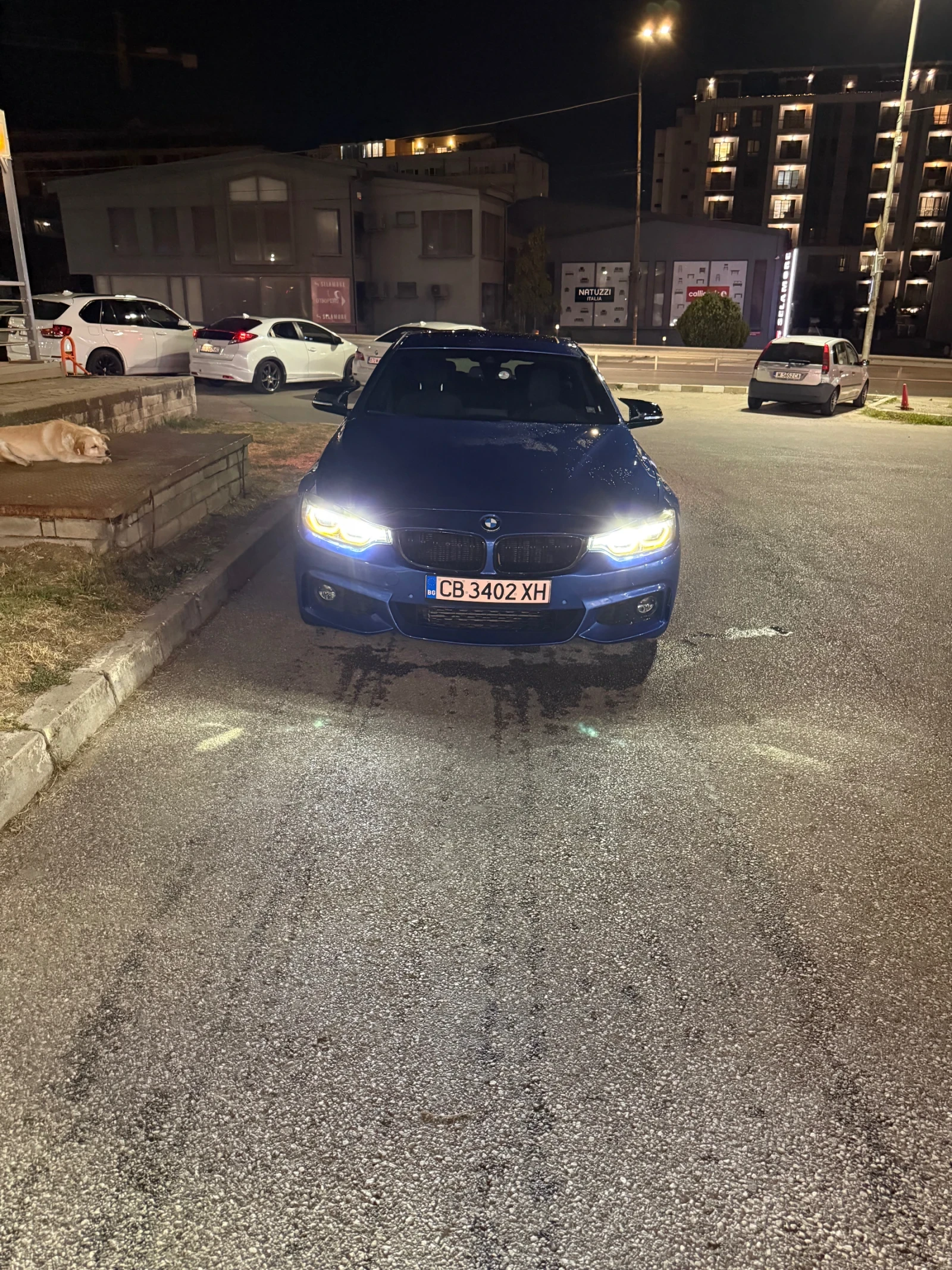BMW 420 xDrive, снимка 6 - Автомобили и джипове - 55631265
