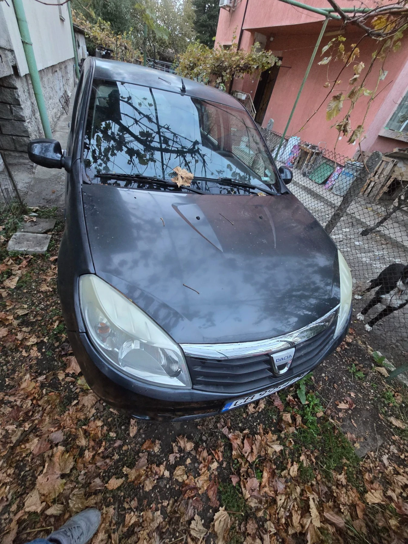 Dacia Sandero