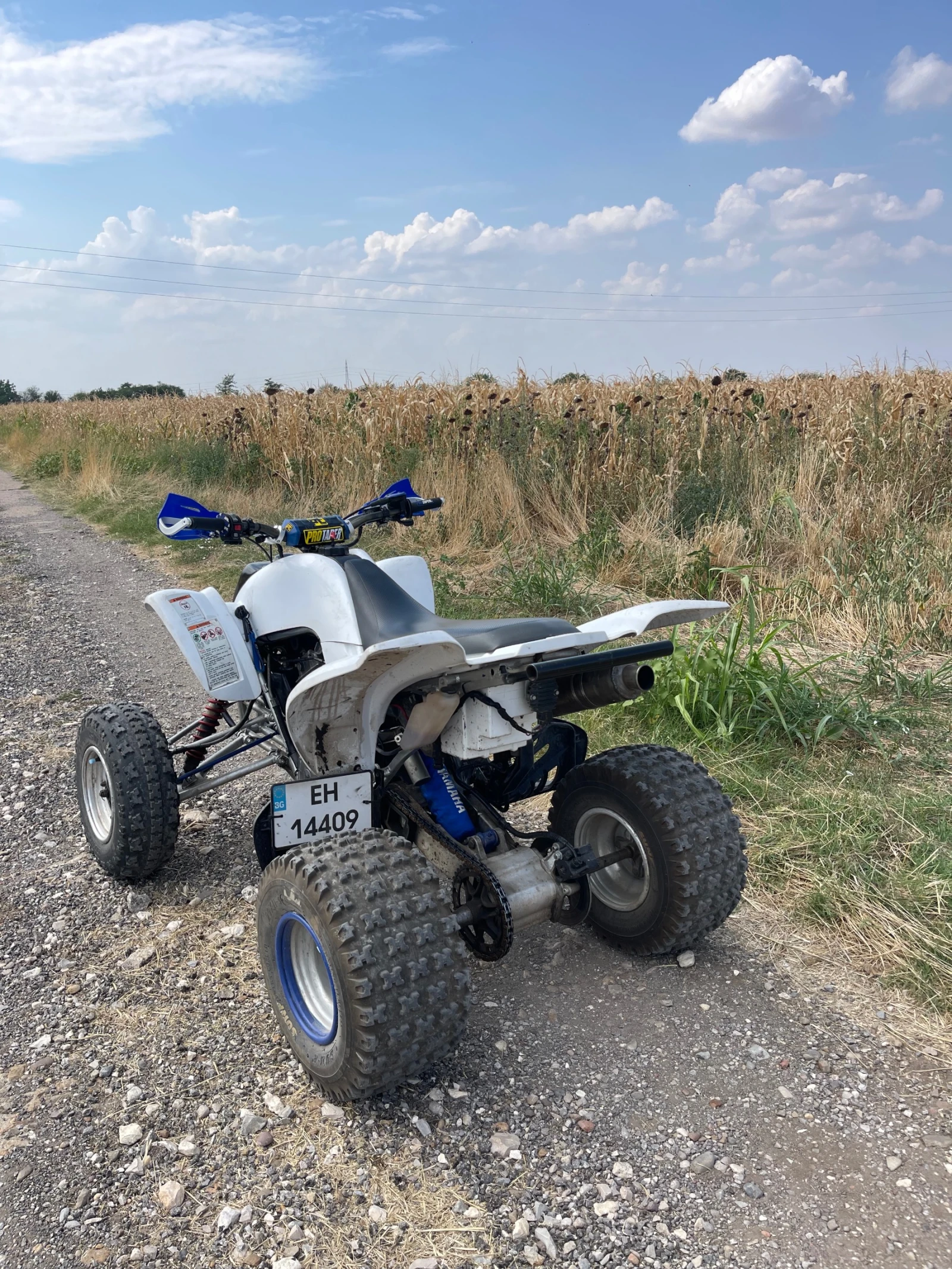 Yamaha Raptor  - изображение 3