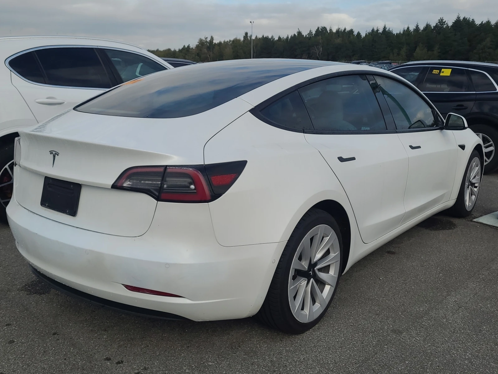 Tesla Model 3 STANDARD RANGE PLUS / ���������� | Mobile.bg � ����������� 4