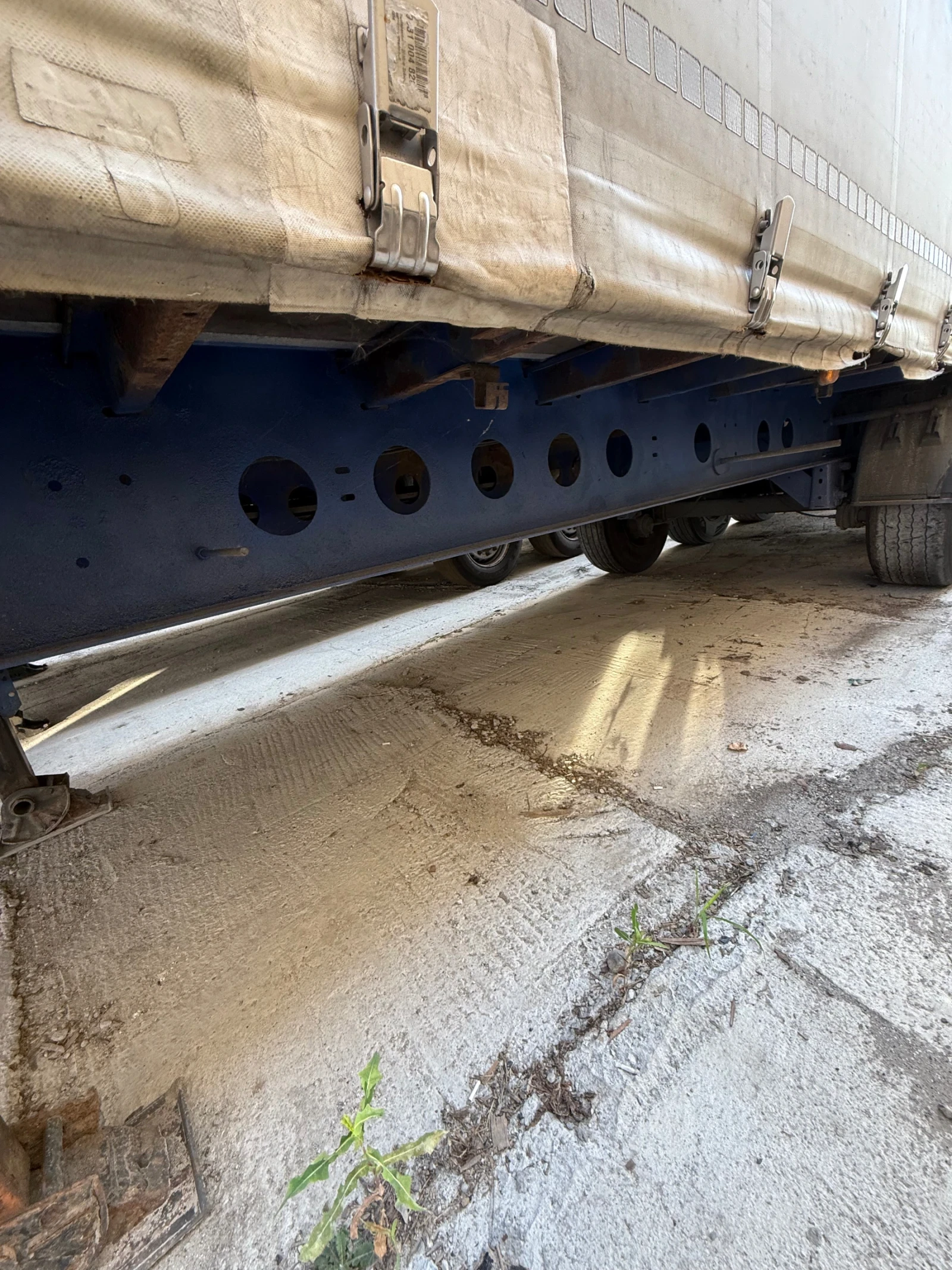 ����������� Koegel 5900 �� ����  | Mobile.bg � ����������� 2