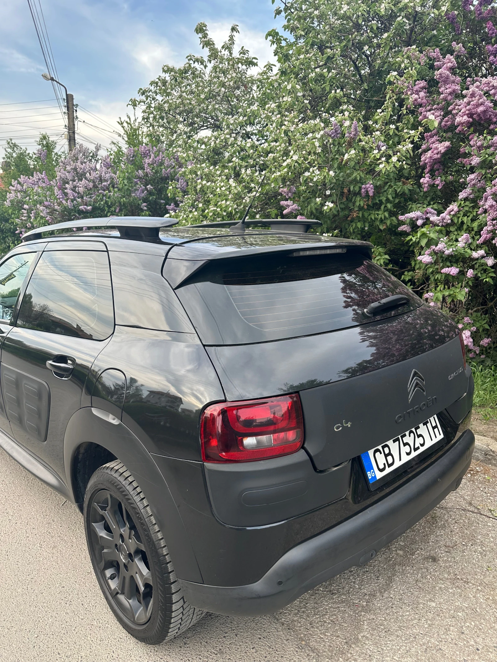 Citroen C4 Cactus  - изображение 4