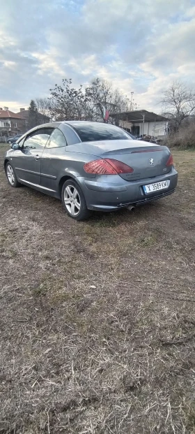 Peugeot 307 - 2000 € / 3911.66 лв. - 31585800 4