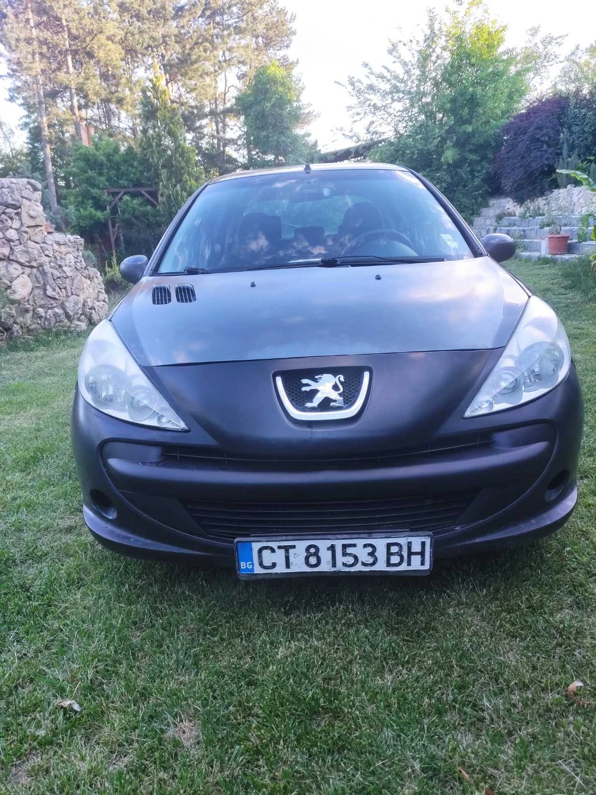 Peugeot 206 + 